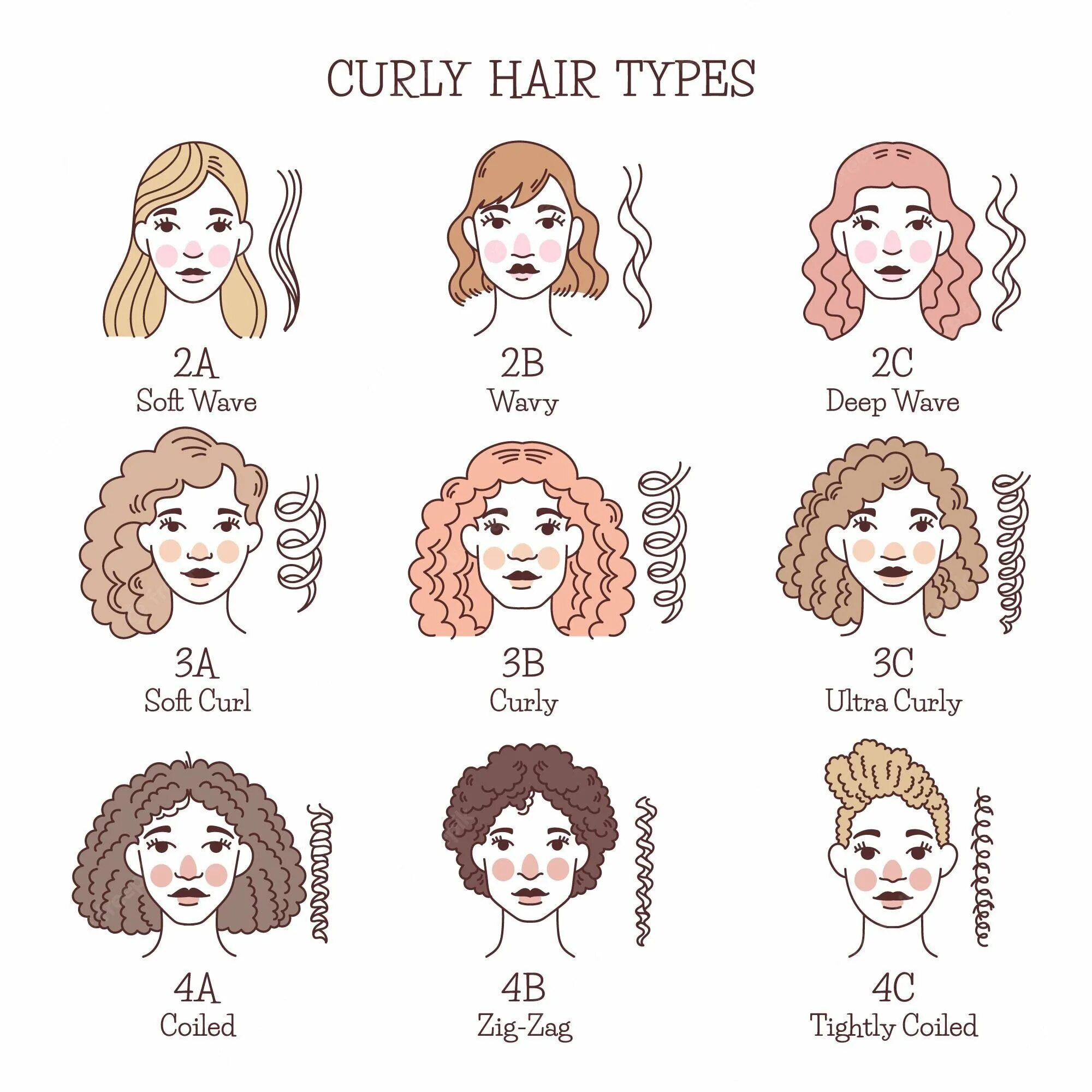 Для каждого типа волос. Типы волос. Типы кучерявых волос. Типы кудрей волос. Типы волос кудрявые волнистые.