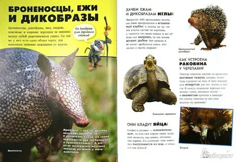 Форум энциклопедии