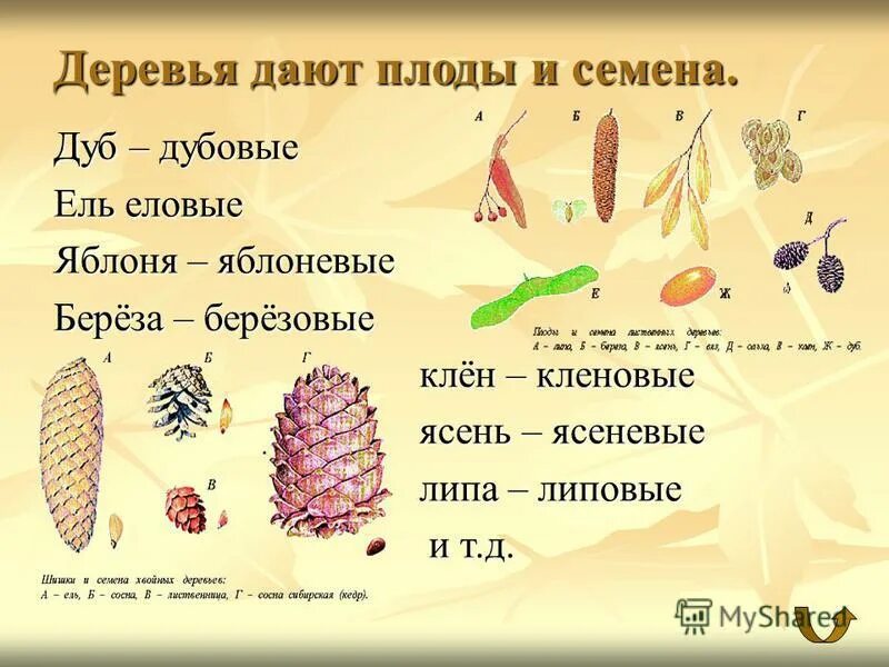 Давать плоды результаты