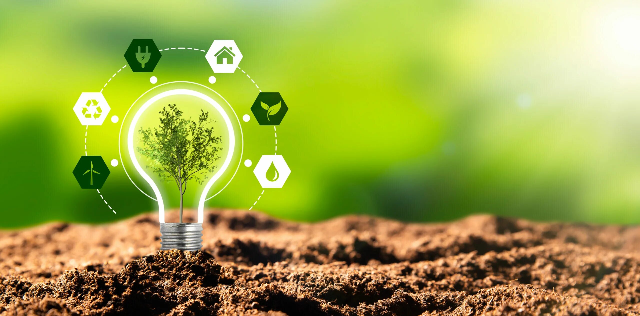 Sustainable practices