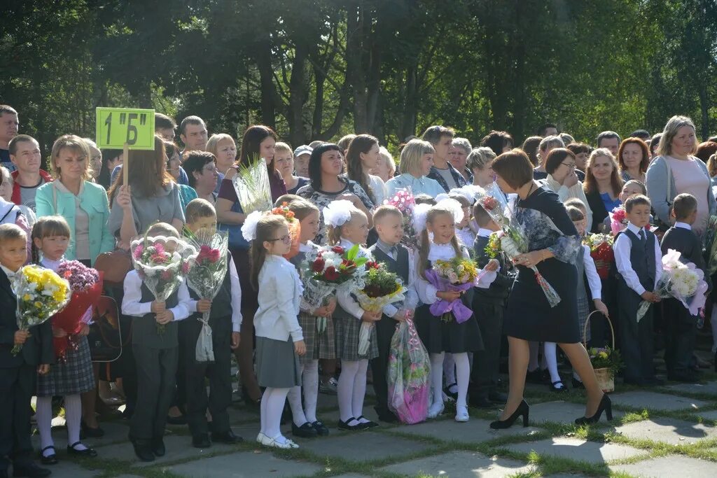 гимназия гусь хрустальный 2022. гусь хрустальный достопримечательности. ростовая кукла гусь хрустальный. день гуся гусь хрустальном. день гуся гусь хрустальном.