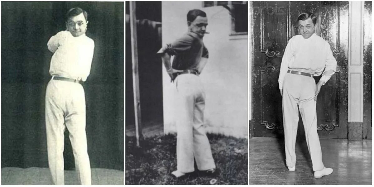 Сова способная поворачивать голову на 270. Прикольные совы. На сколько градусов сова может повернуть голову. Шутки про сову и жаворонка. К магнитной стрелке северный полюс затемнен.