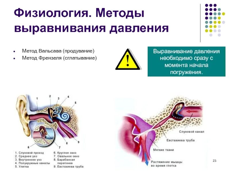 Давление на барабанную перепонку в ухе. Выравнивание давления на барабанную перепонку. продувка методом френзеля. давление на барабанную перепонку. как выровнять давление в среднем ухе.