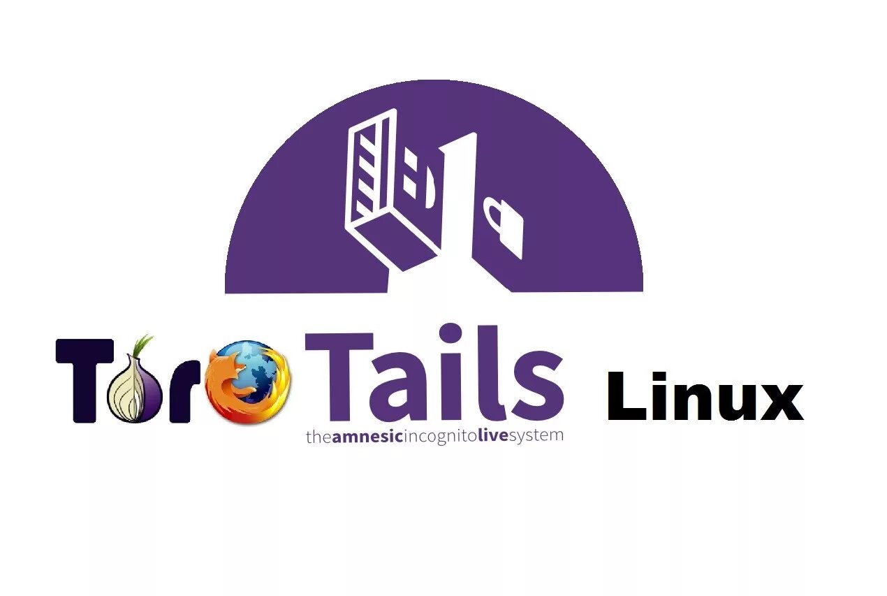 The live system. Tails os. Tails линукс. Tails флешка. ОС Tails иконка.