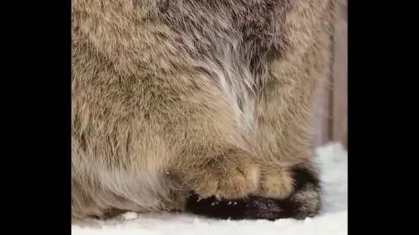 Позитивчик (фото, видео, рассказы для хорошего настроения)