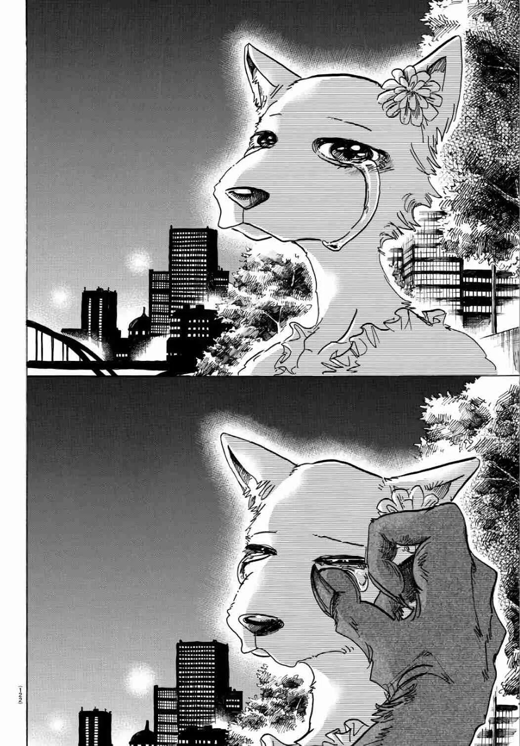 Beastars Manga Луис. Beastars Mizuchi. Легаси Манга Beastars. Beastars Легаси и Хару. Beastars читать