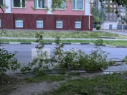 Кадр тула