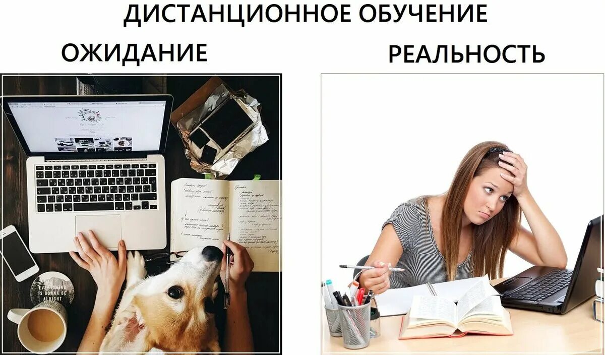 Реальность не совпадает с действительностью. Ожидания не совпали с реальностью. Ожидания не соответствуют действительности. Когда ожидание не совпадает с реальностью.