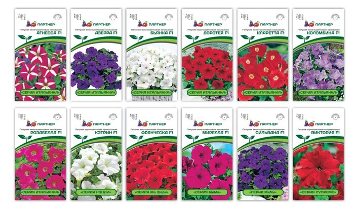 Петуния многоцветковая каскадно-ампельная беатрис. Петуния итальянка бьянка f1. Петуния корал блаш. Петуния агрофирма партнер. Петунья вивальди вуаль f1 амп.