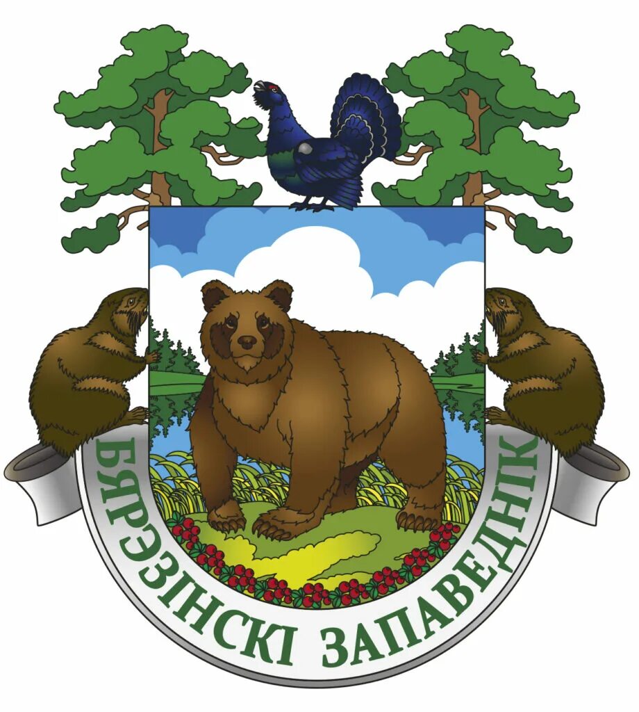 Какой символ заповедника и почему. Логотип заповедника. герб беловежской пущи. беловежская пуща эмблема. березинский заповедник.