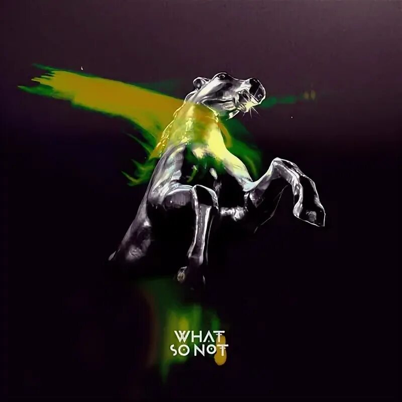 What so not what so no. What so not what so no