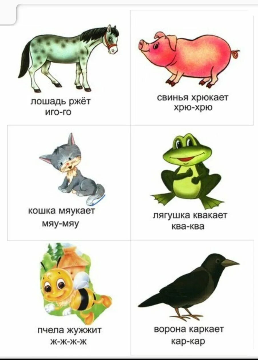 Как делают животные звуки