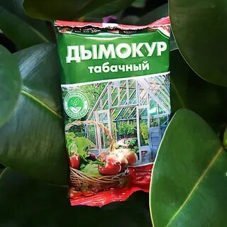 Дымокур табачный отзывы для теплицы
