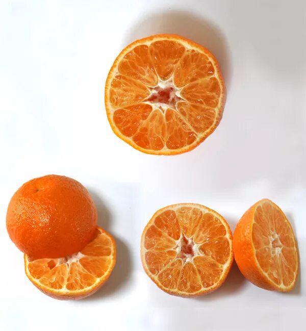 Мандарин в разрезе. Разрезанный мандарин. Половинка апельсина. Апельсин в разрезе.