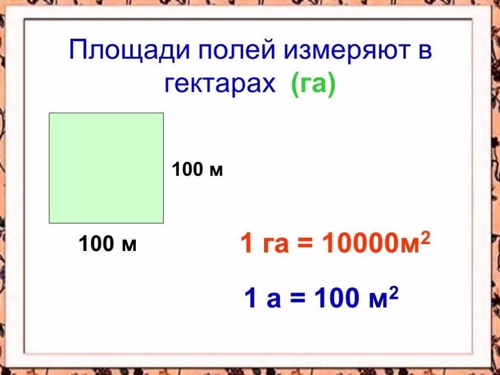 Площадь м2 2. Площадь 1 гектара в квадратных метрах. 100 метров на 100 метров сколько гектар. 1 гектар в метрах размер. размер 1 гектара в метрах квадратных.