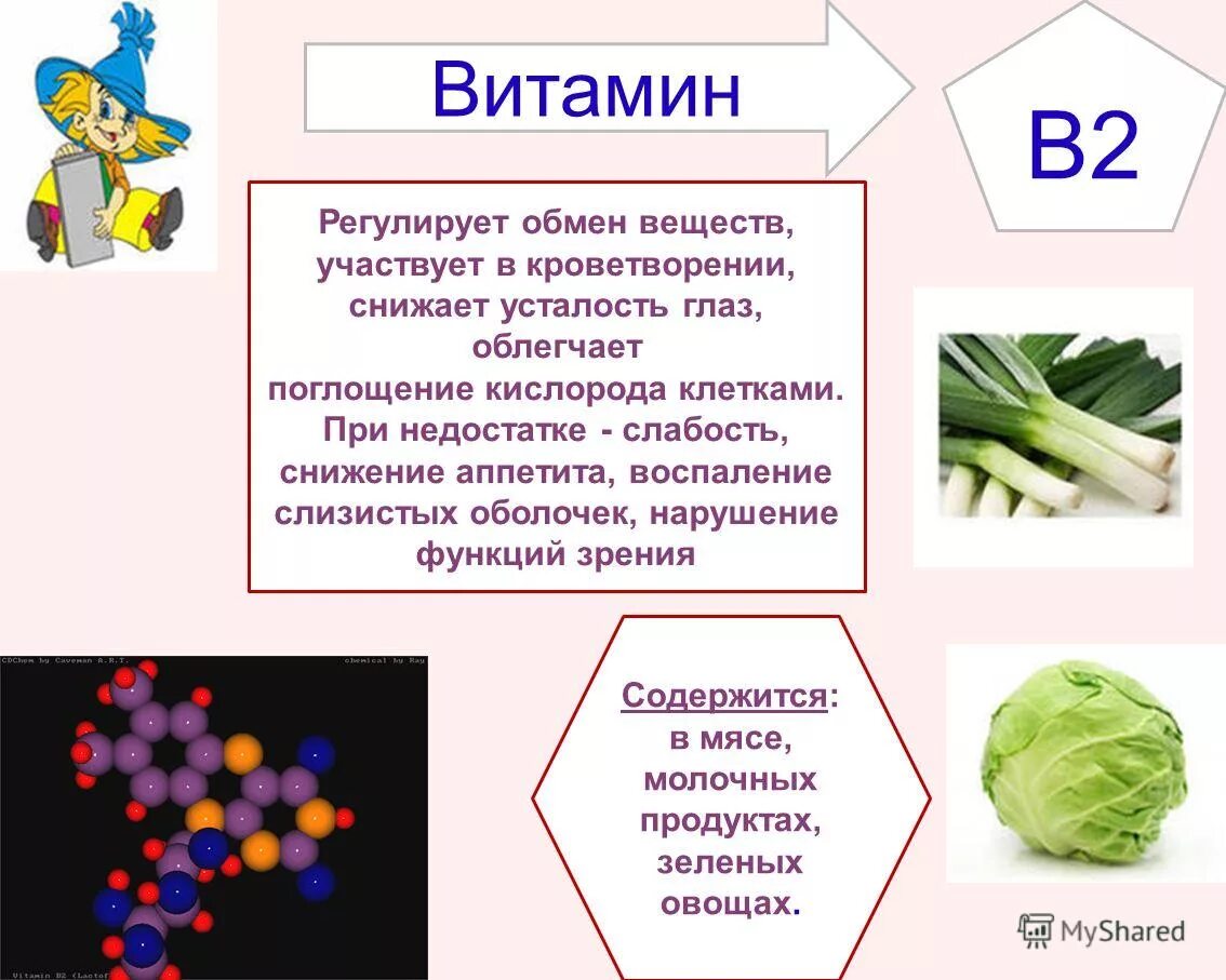 Витамин в 8 в продуктах. Что такое витамины. Роль витаминов в обменных процессах. Участие витаминов в обмене веществ. Роль витаминов в метаболизме.