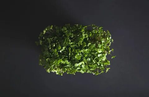 Greens микрозелень