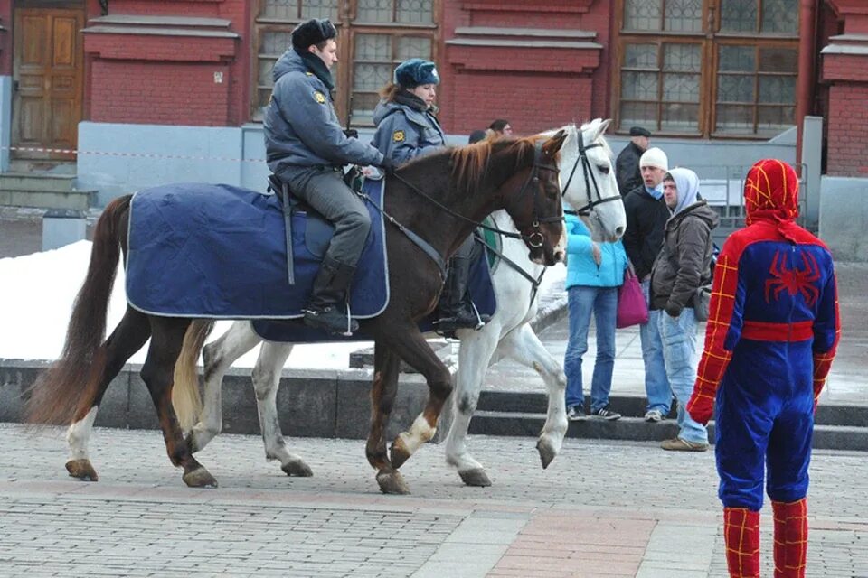 Horse moscow