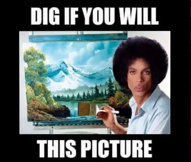 Say dig