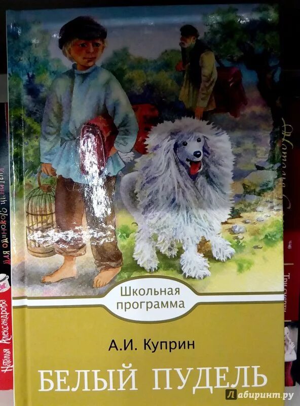 Слушать аудиокнигу куприн пудель. А. И. Куприн "белый пудель".