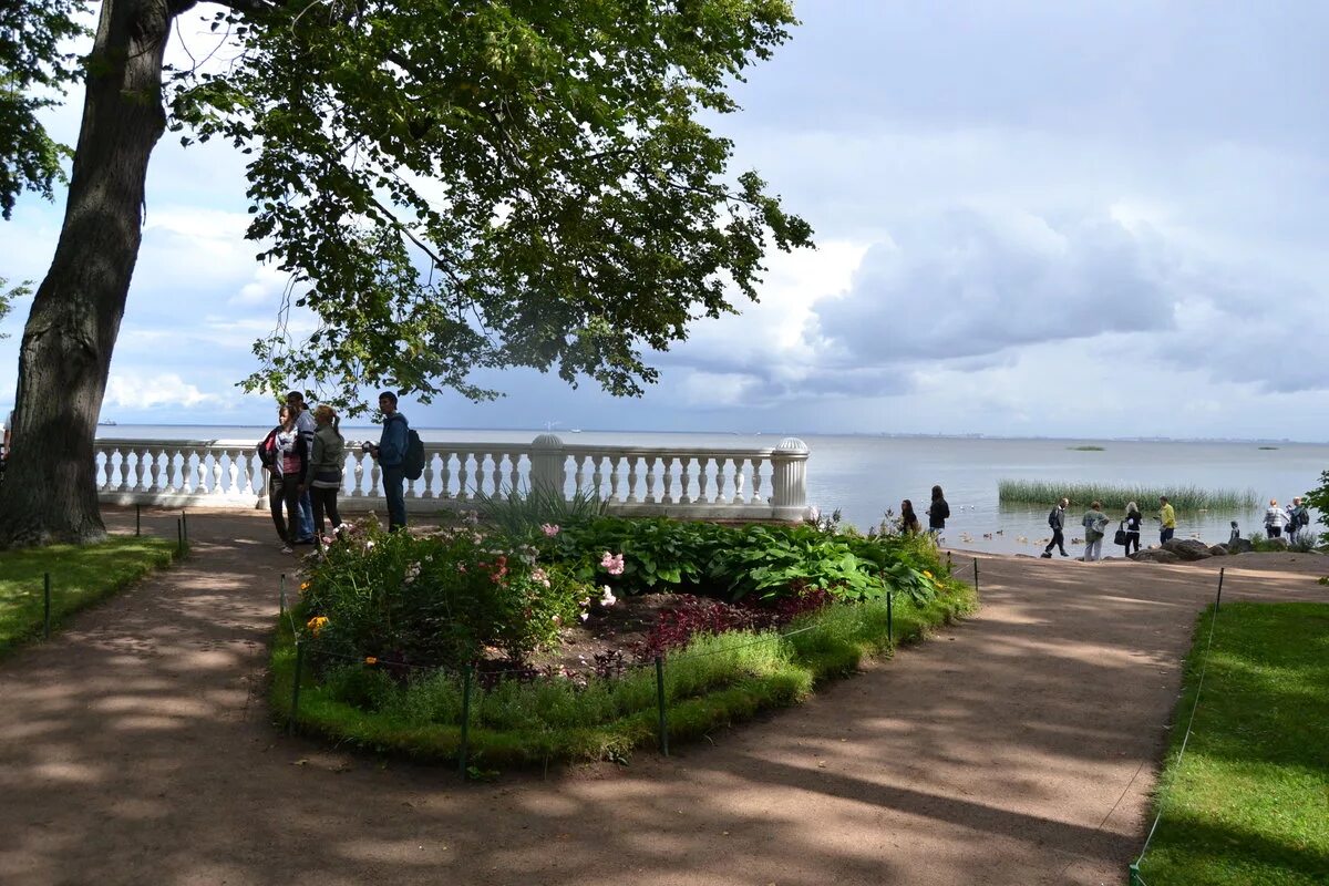 петергоф вид на финский залив. петергоф набережная. набережная петергофа. балюстрада монплезир. набережная петергофа.