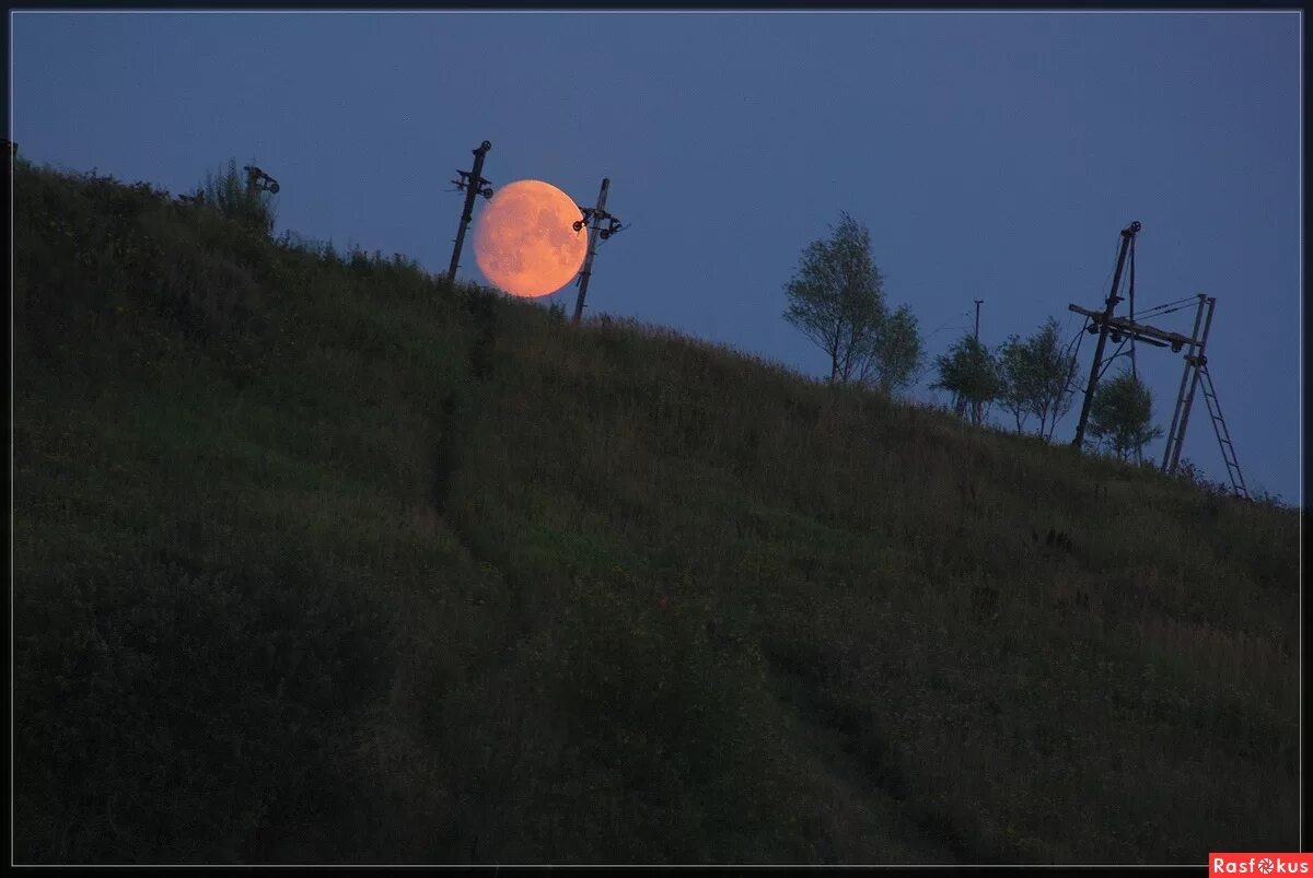 Хейли парамор 2023. Caught in the middle. Caughtinthemiddle. Caught in the middle (gerald wayne, cdi). Caught in the middle.