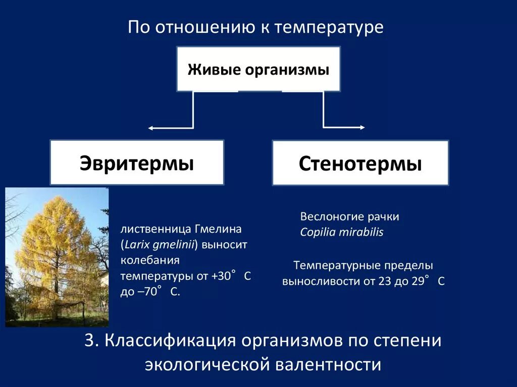 Природная группа. Классификация организмов по отношению к температуре. Классификация живых организмов по отношению к температуре. Экологическая классификация организмов. Классификация организмов по отношению к колебаниям температур.