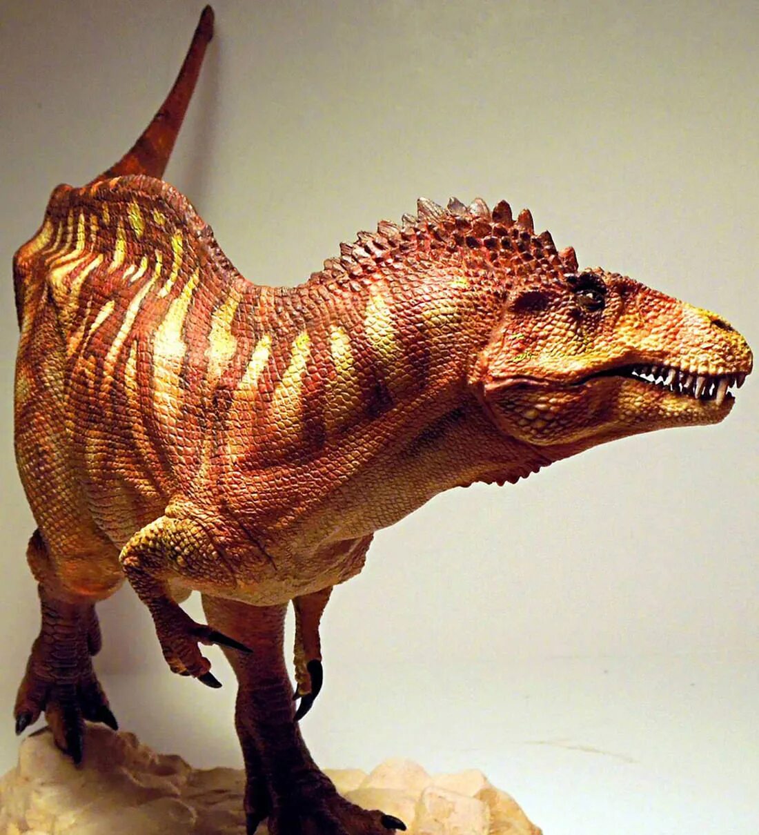 Динозавр форма. Акрокантозавр. Акрокантозавр динозавр. Хищные динозавры Акрокантозавр. Акрокантозавр скелет.