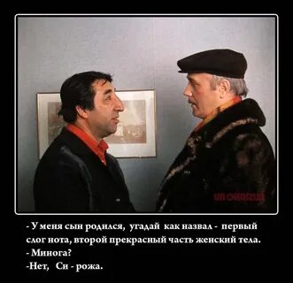 Товарищ грузин 4