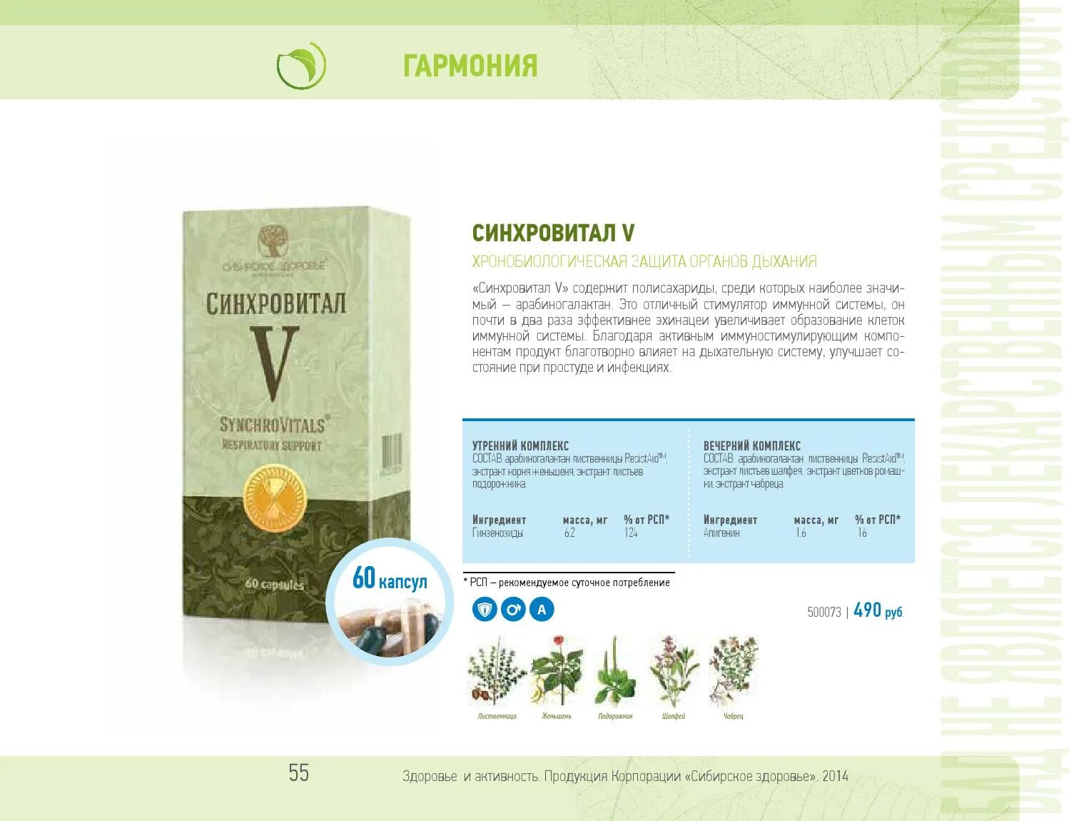 синхровитал 2 siberian wellness. синхровитал 4 сибирское здоровье. синхровитал для печени сибирское здоровье. синхровитал 7 сибирское здоровье. хронобиологическая защита суставов синхровитал vi сибирское здоровье.