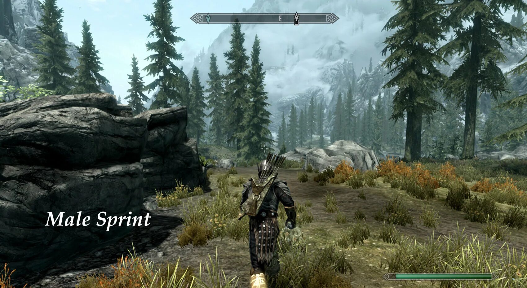 Скайрим мод animation. Скайрим 3. skyrim от 3-го лица. бег в скайриме мод. скайрим бежит.