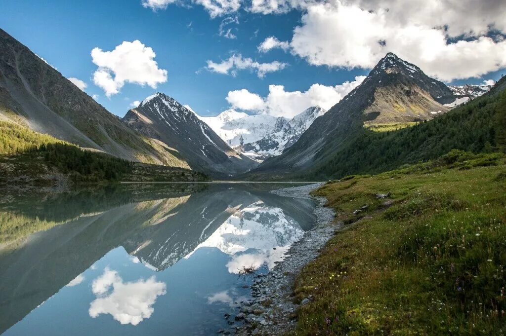 Белуха Алтайский край. Кучерлинское озеро Алтай. Алтай горный Алтай. Гора Белуха.