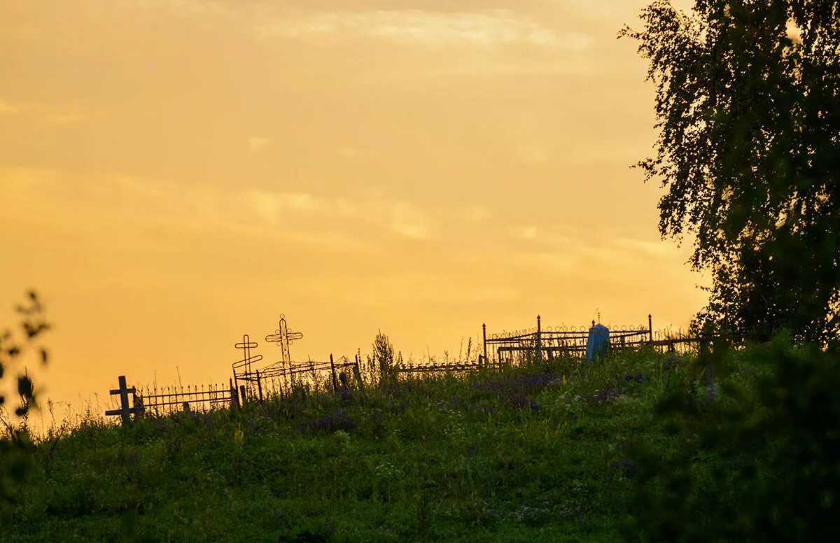 старые деревенские кладбища. сельские погосты. сельский погост. сельские погосты. старое кладбище, деревня старый погост.
