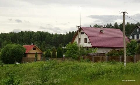 Погода тарасово тосненский ленинградской