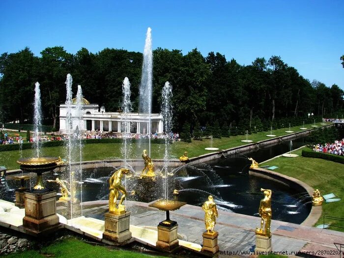 Петергоф утки. Петергоф утки