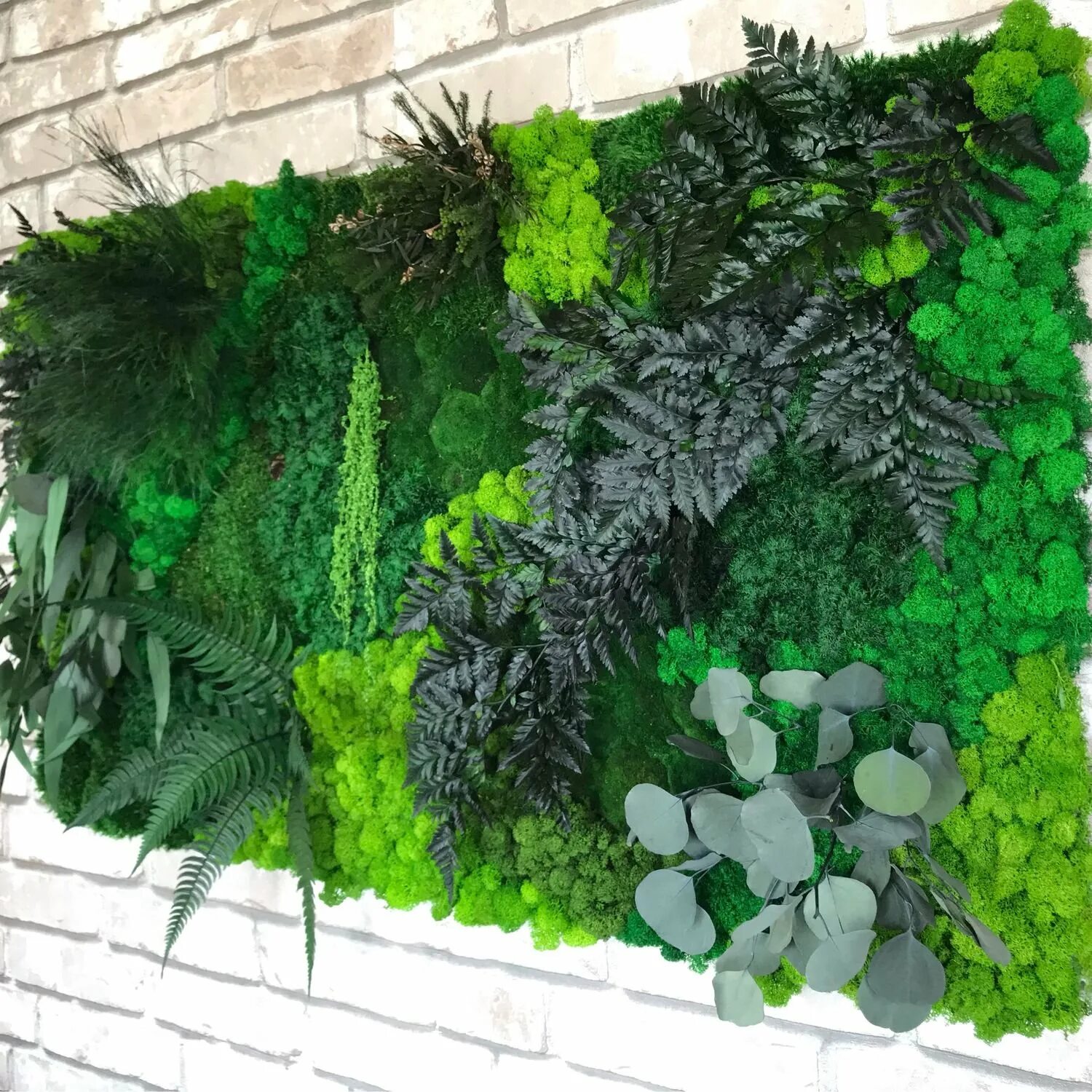 Спатифиллум фитостена. Фитостена ягель. Фитостена вертикальное озеленение. Фитокартина из стабилизированных растений. Фитостена мох стабилизированный.