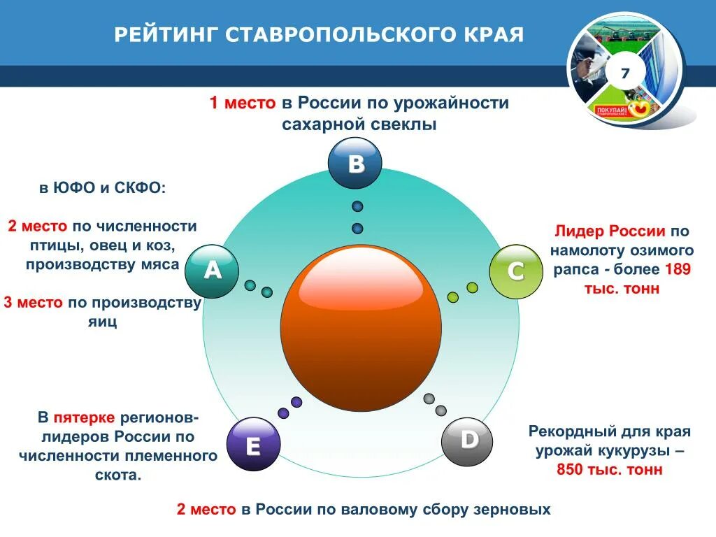 Экономика ставропольского края проект. Экономика Ставропольского края. Отрасли Ставропольского края. Отрасли промышленности Ставропольского края. Экономика Ставропольского края 3 класс.