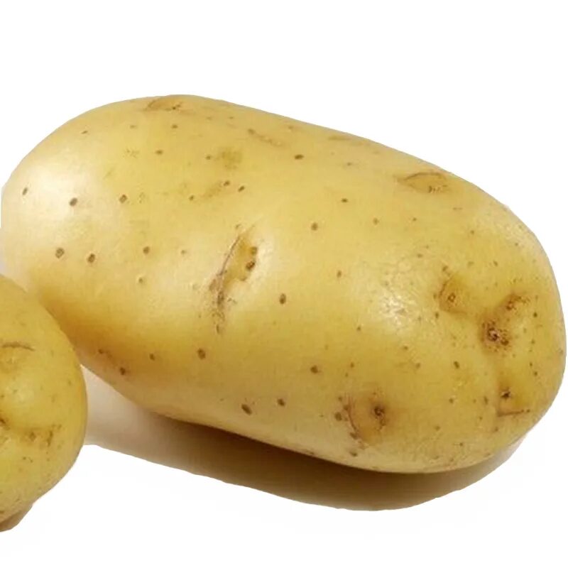 Potatoes picture. Картофель. Картошка с овощами. Картофель для детей. Картошка на белом фоне.