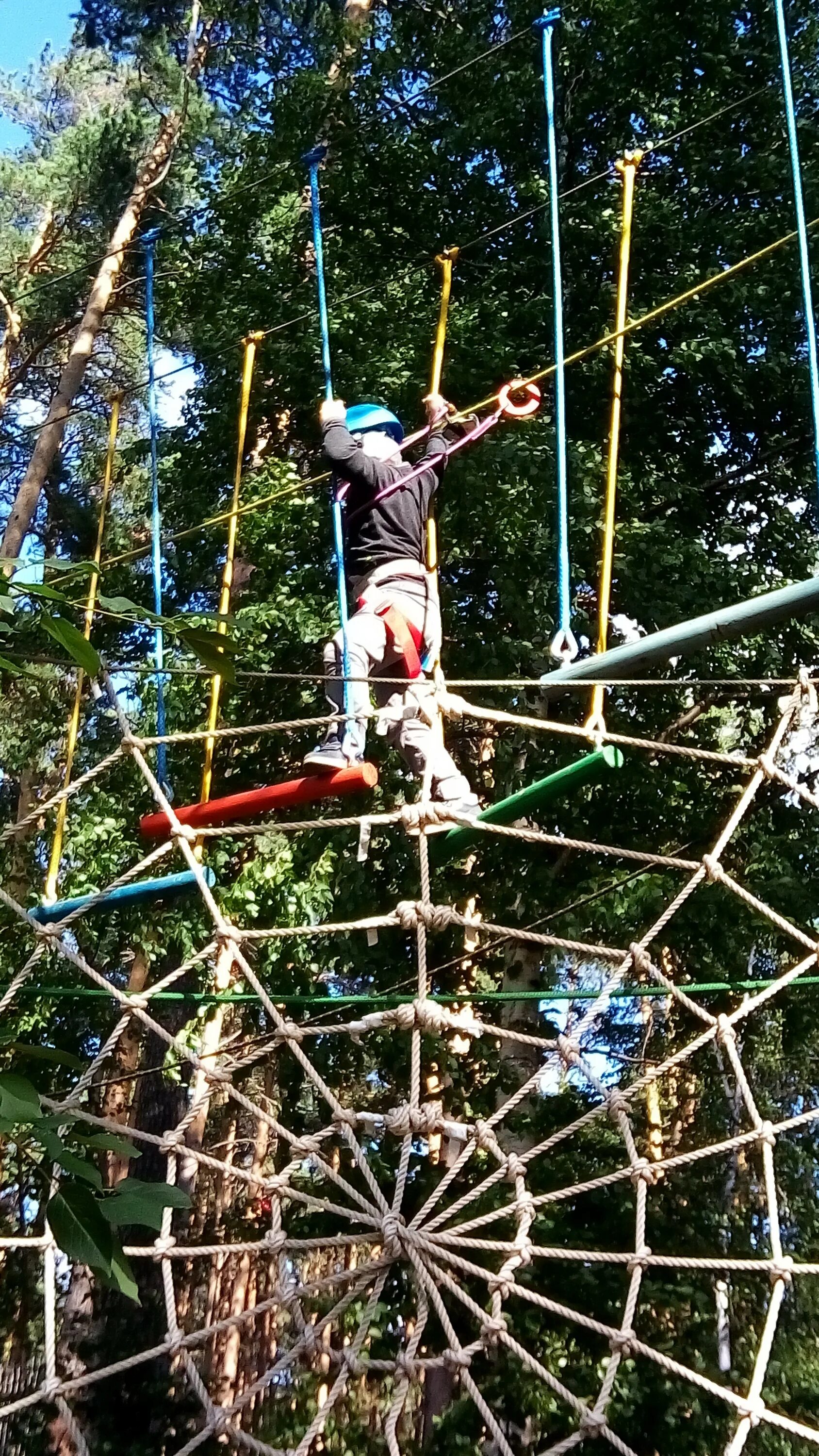 Эльф парк екатеринбург. Веревочный парк уктус екатеринбург. Эльф парк. Эльф парк шарташ екатеринбург. Веревочный парк уктус екатеринбург.