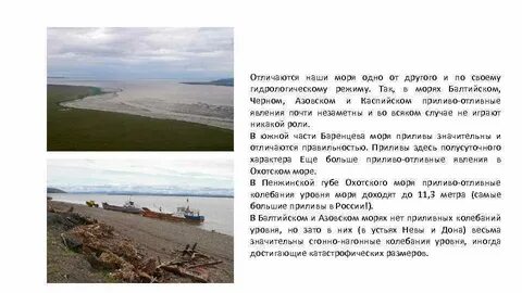 Чем отличается азовское море от черного