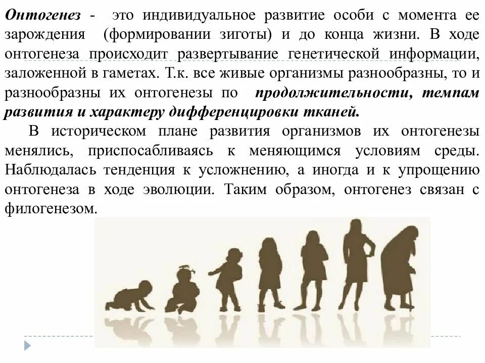 Онтогенез обучение. Онтогенез. Индивидуальное развитие. Индивидуальное развитич елвоека это. Индивидуальное развитие особи.