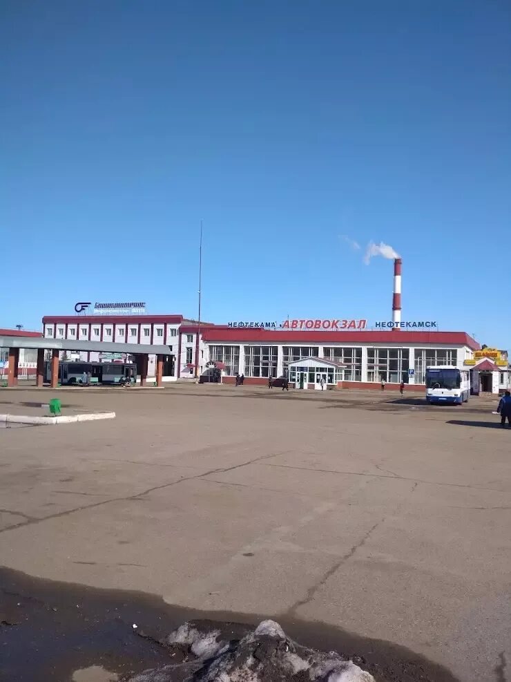 Диспетчер автовокзала нефтекамск номер. Автовокзал нефтекамск. Номер автовокзала нефтекамск диспетчера. Автовокзал нефтекамск. Расписание автобусов нефтекамск.