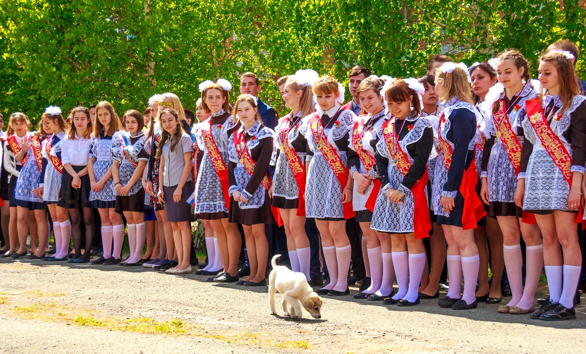 Выпуск 1 класс. Фотосессия последний звонок. Выпускной в средней школе. Выпускница школы.