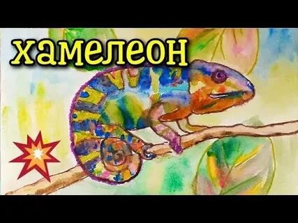 Урок хамелеон 7 класс