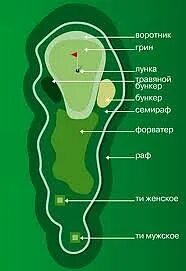 Ти зон