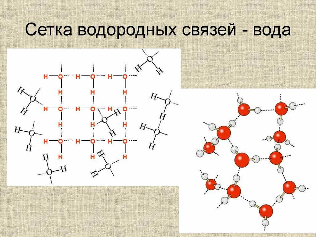 D форма связи. Молекулярная биофизика. Водородная связь лед. ⦁ молекулярная биофизика, предмет и задачи. Трехмерная сеть водородных связей в воде это пример взаимодействия.