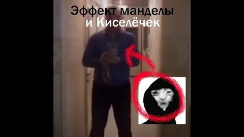 Два киселечка катаются не один
