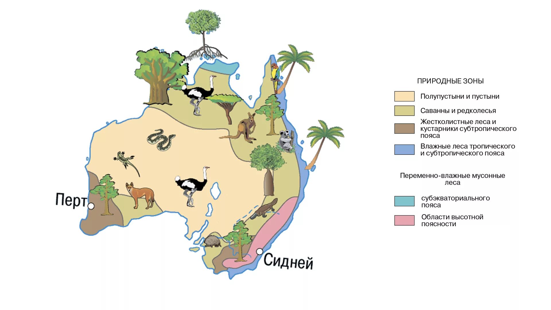 В изоляции австралия. Карта растительности Австралии. Животный и растительный мир Австралии на карте. Карта природных зон Австралии с животными. Природная зона Австралии рисунок.