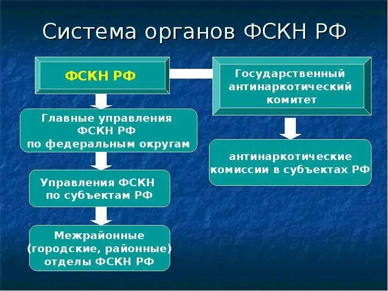 Структура ФСКН России. Структура органов ФСКН. ФСКН схема. Федеральные правоохранительные службы рф