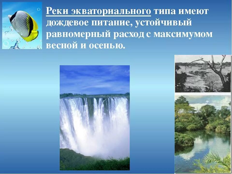 Река имеющая дождевое питание